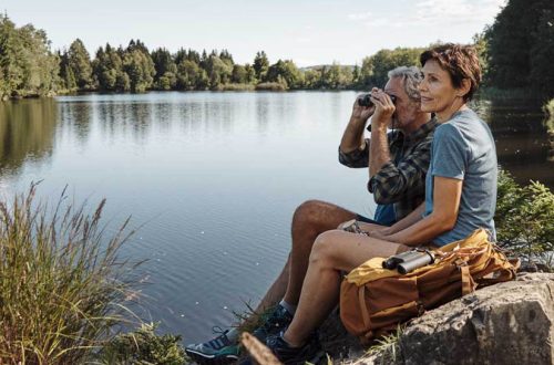 cl Pocket Swarovski Optik