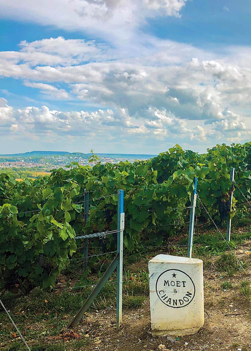 Royal Champagne Hotel & Spa