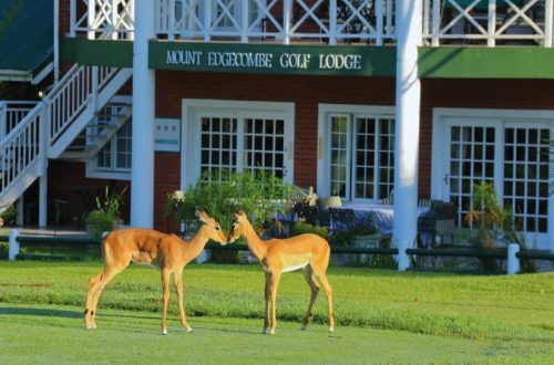 Mount Edgecombe Country Club - Golf
