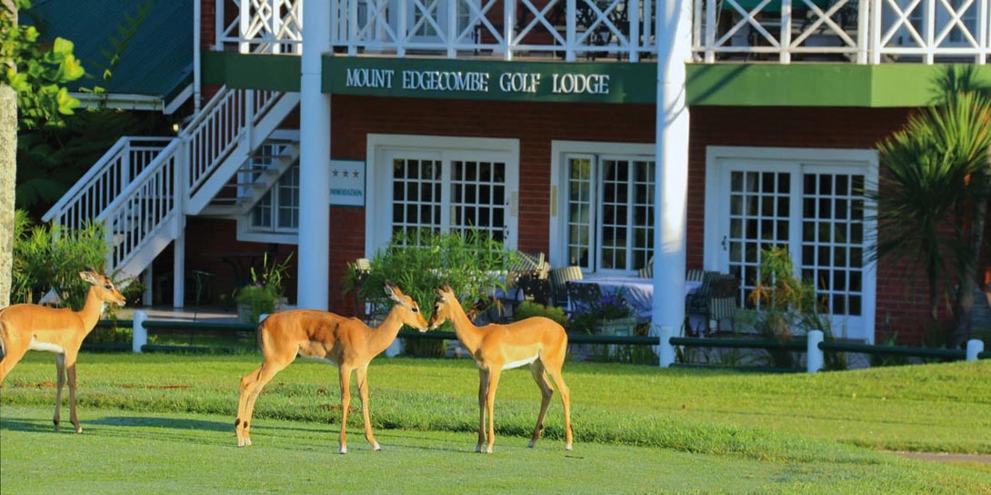 Mount Edgecombe Country Club - Golf