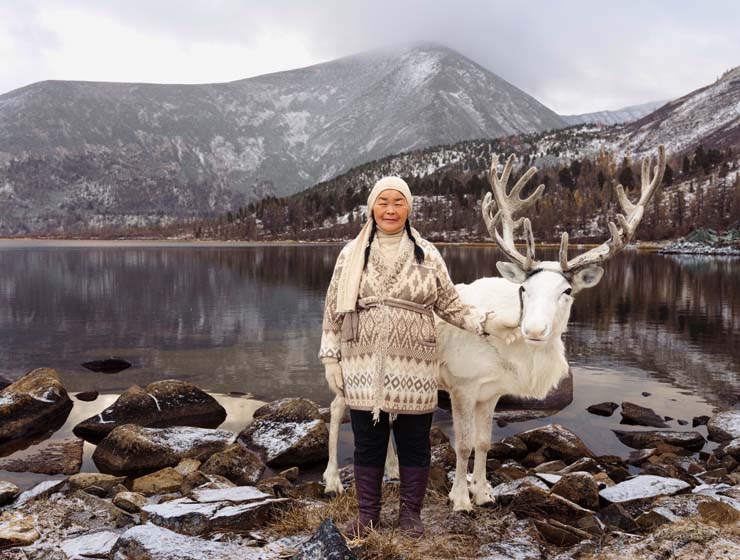 Kaschmir- und Alpakawolle