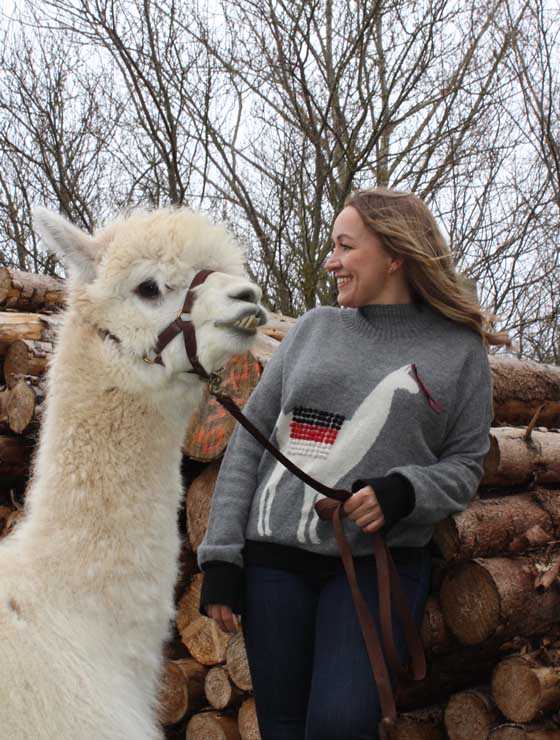 Kaschmir- und Alpakawolle