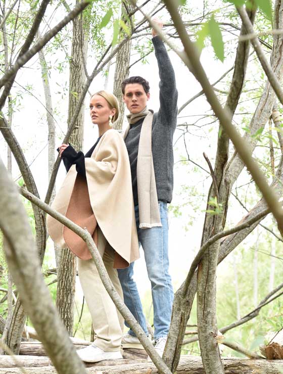 Kaschmir- und Alpakawolle