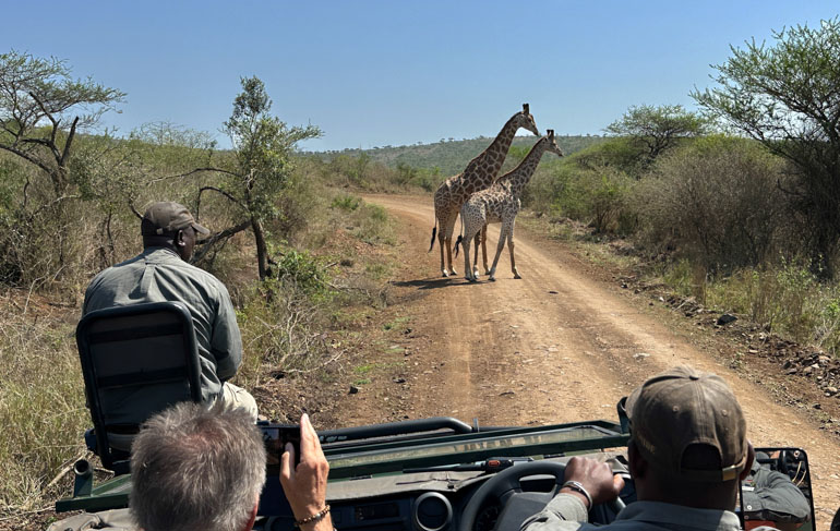 Jumeirah Thanda Safari Lodge Wilderness Afrika Ausfahrt