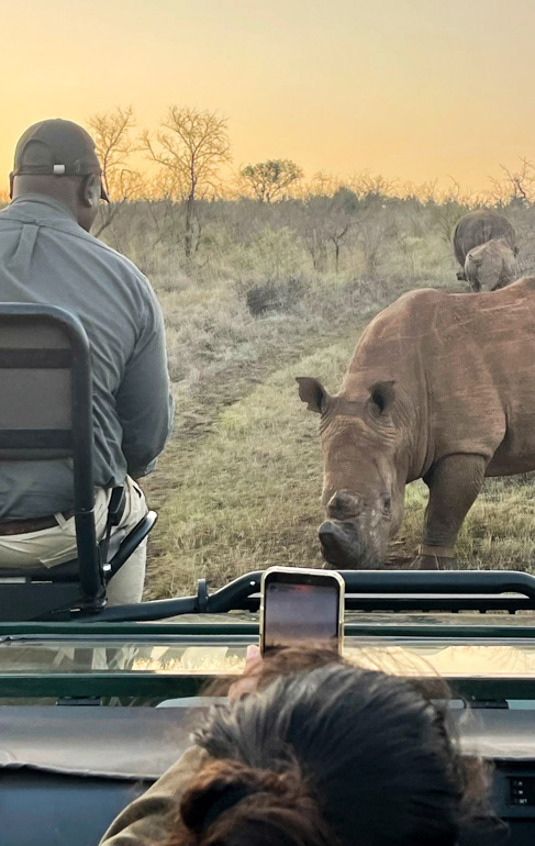 Jumeirah Thanda Safari Lodge Wilderness Afrika Safariride nashorn