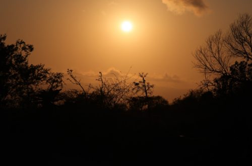 Jumeirah Thanda Safari Lodge Wilderness Afrika Sonnenuntergang