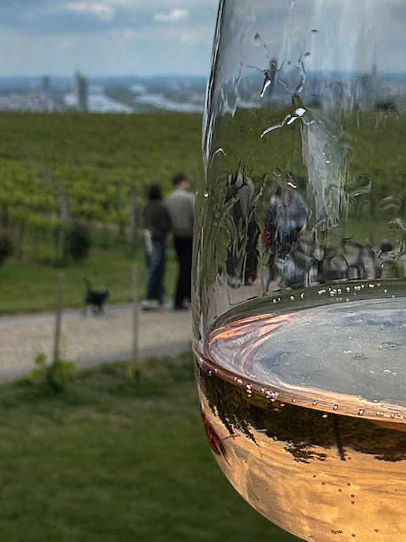 Buschenschank Wein Winzer Weinprobe Glas