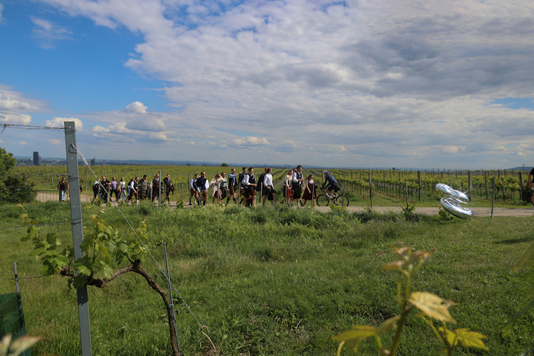 Buschenschank Wein Winzer Weinprobe Weinfest