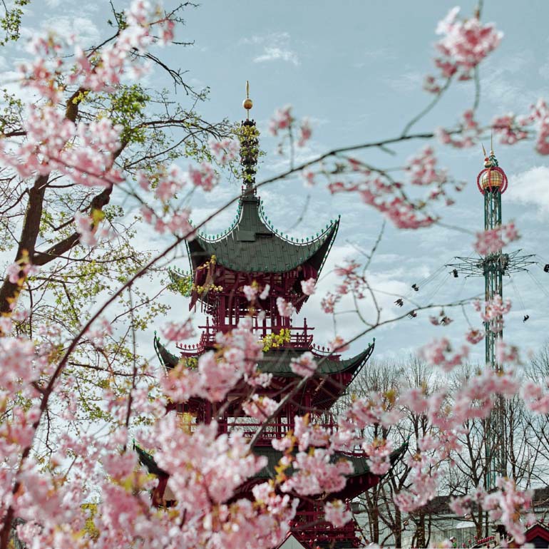 Gourmet News Fine Dining Wein Food Japan Pagode