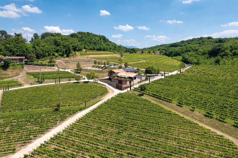 friaul-julisch-venetien-italien-roadtrip-porsche-tour-cormons-weinberg